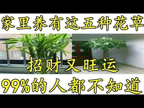 家中擺花|9招讓你把春天帶回家！居家花藝佈置指南